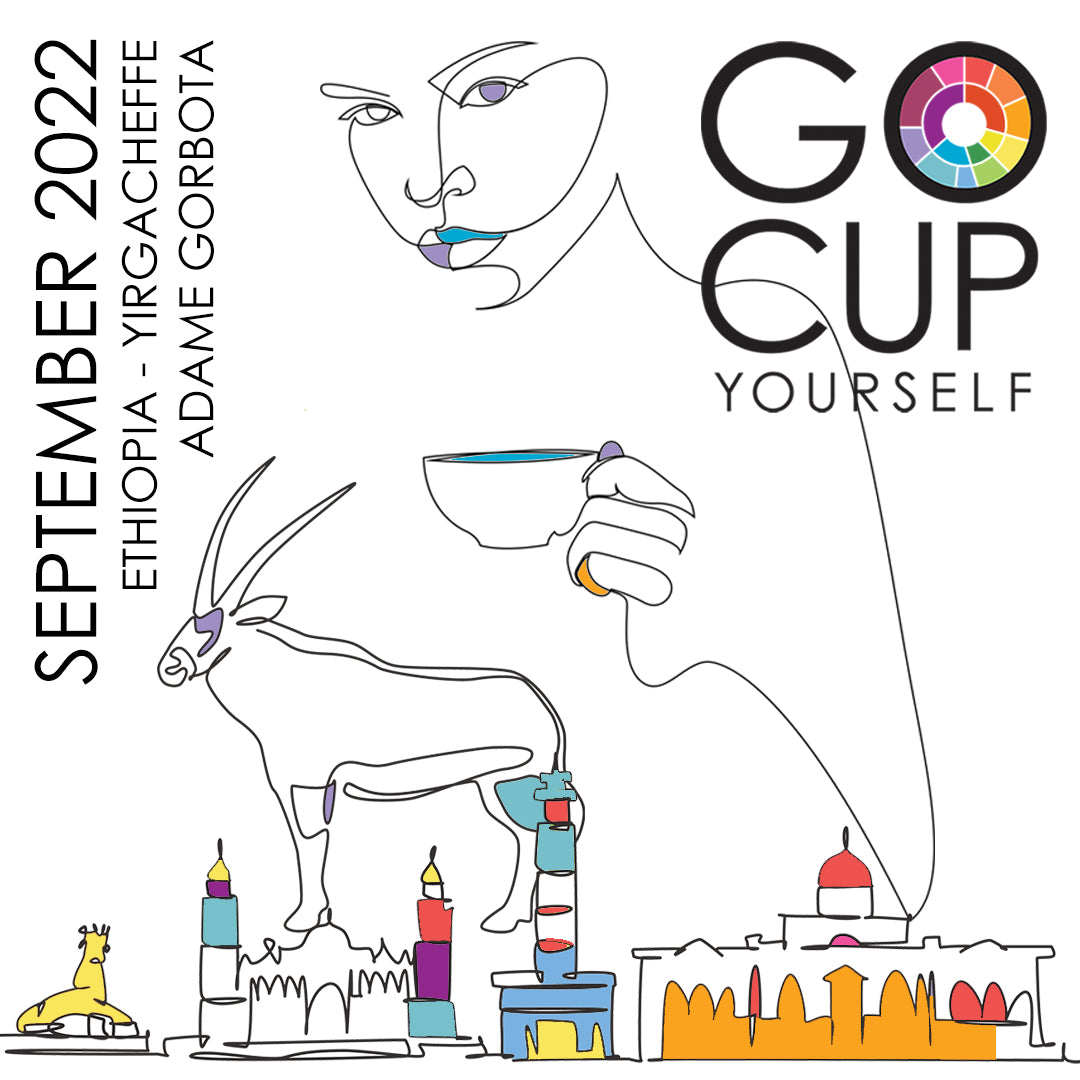 September 2022 - Where the Cup Did Summer Go?