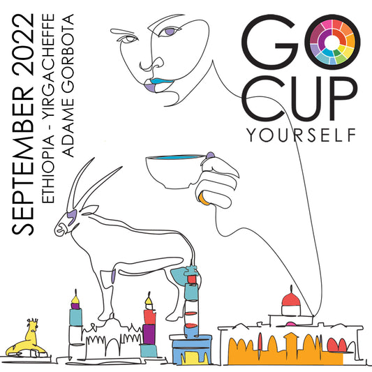 September 2022 - Where the Cup Did Summer Go?