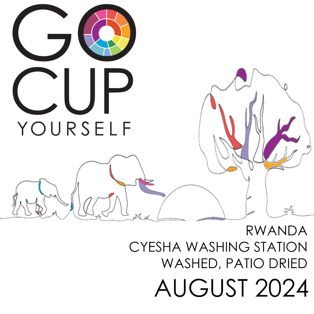 August 2024 - You'll Never Know Unless You Try