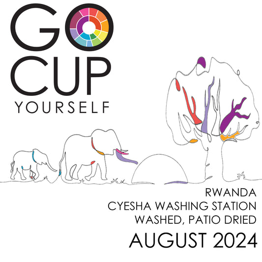 August 2024 - You'll Never Know Unless You Try