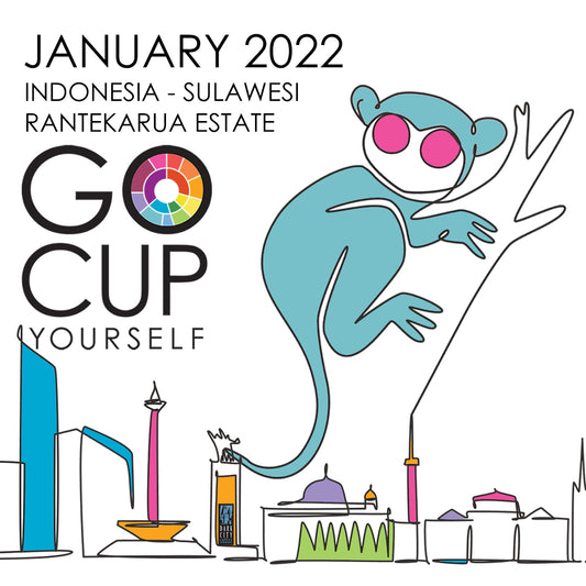 January 2022 - Sulawesi - Tectonic Plates, Volcanoes, Great Coffee