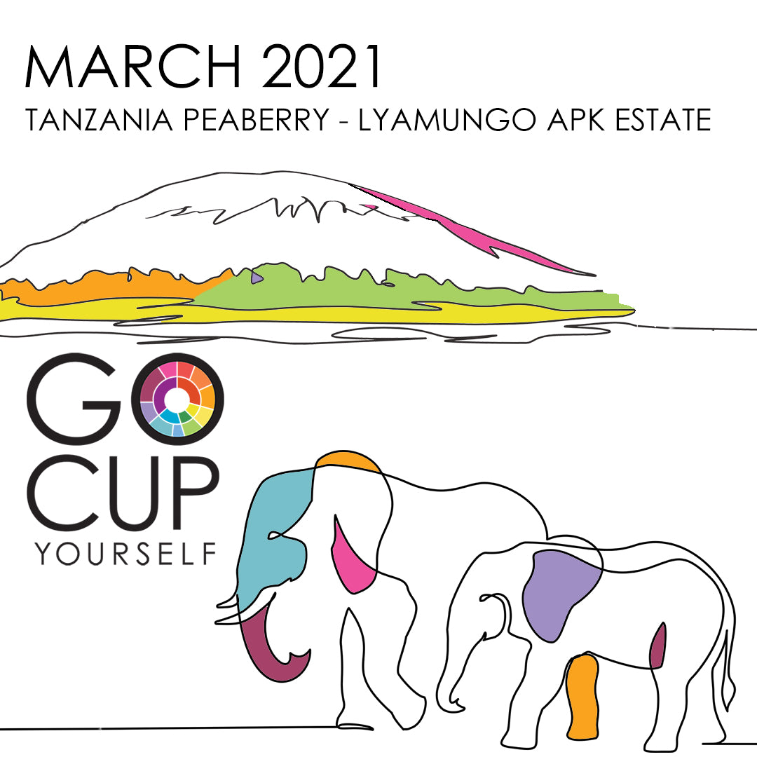March 2021 - Is Smaller Better? Let's Cup a Peaberry