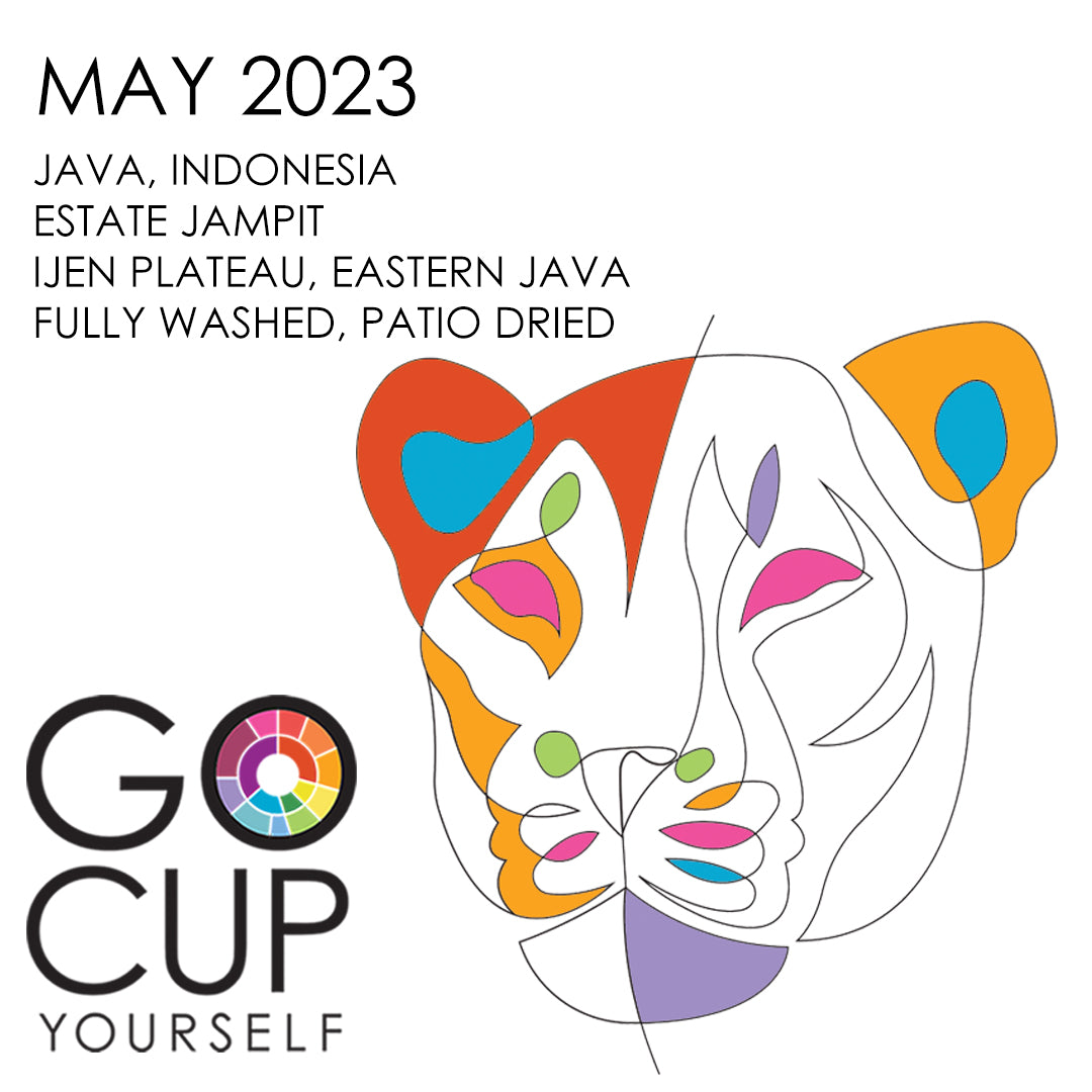 May 2023 - A Cup of Java ...Literally!