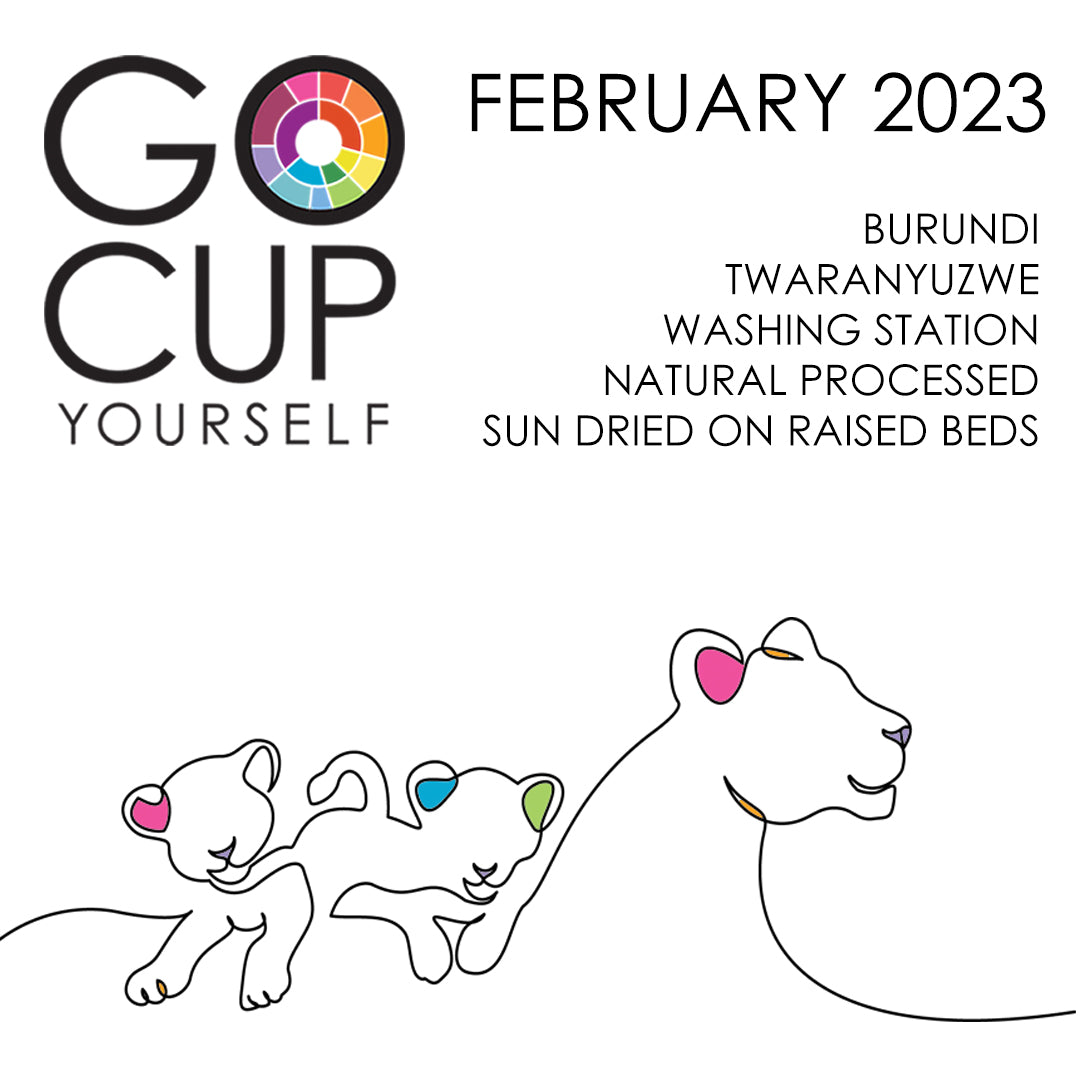 February 2023 - A Natural from Burundi ...Yup, You Read That Right!